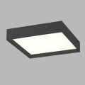 LED2 - Iluminação de teto LED MILO LED/30W/230V preta 3000/4000K