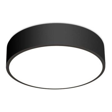 LED2 - Iluminação de teto LED MONO LED/30W/230V 3000K/4000K preto