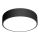 LED2 - Iluminação de teto LED MONO LED/30W/230V 3000K/4000K preto