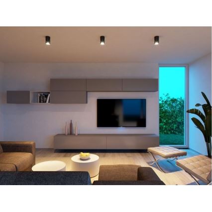 LED2 - Iluminação de teto LED TUBUS LED/9W/230V preta