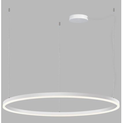 LED2 - Lustre LED regulável em cabo SATURN LED/80W/230V diâmetro 100 cm branco