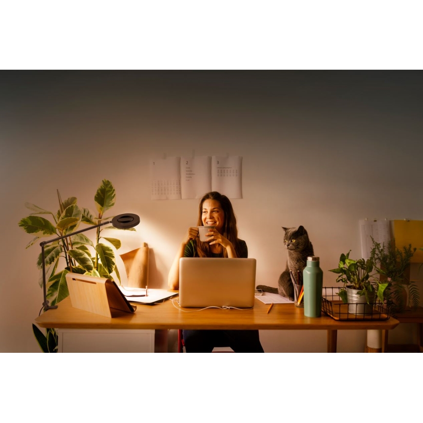 Ledvance - Candeeiro com clipe LED com regulação SUN@HOME LED/15W/230V 2200-5000K CRI 95 Wi-Fi