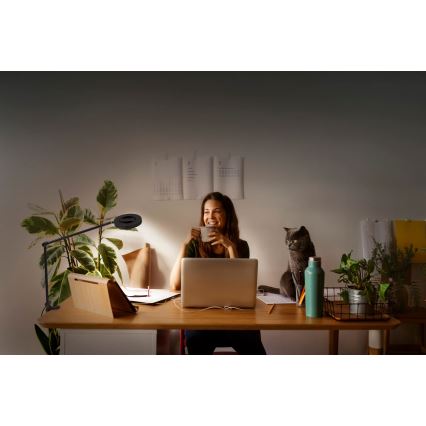 Ledvance - Candeeiro com clipe LED com regulação SUN@HOME LED/15W/230V 2200-5000K CRI 95 Wi-Fi