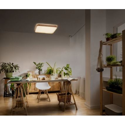 Ledvance - Candeeiro de tecto LED regulável ORBIS LED/16W/230V 3000K 29x29 cm