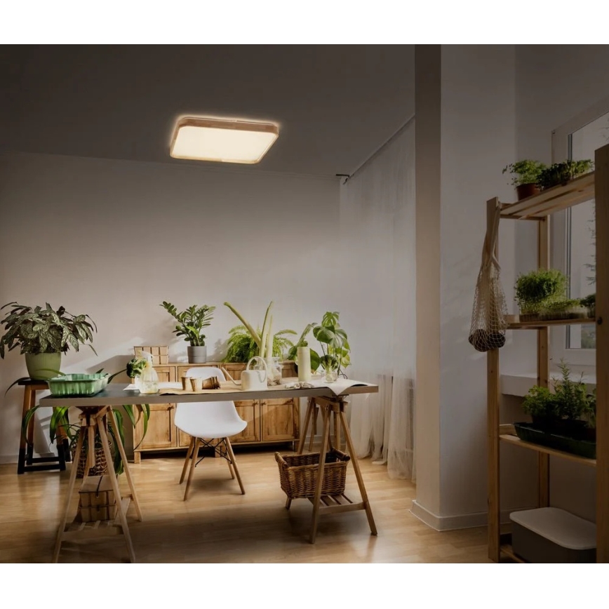 Ledvance - Candeeiro de tecto LED regulável ORBIS LED/16W/230V 3000K 29x29 cm