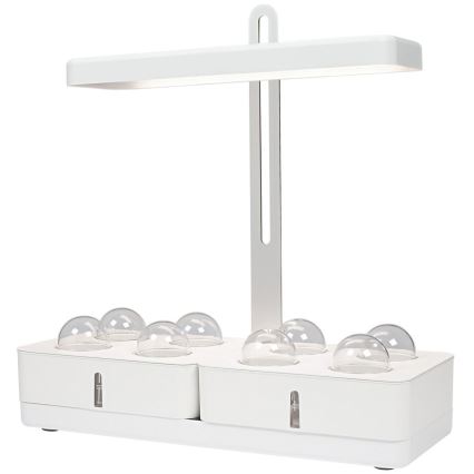 Ledvance - Candeeiro interior de planta LED GARDEN KIT LED/24W/230V