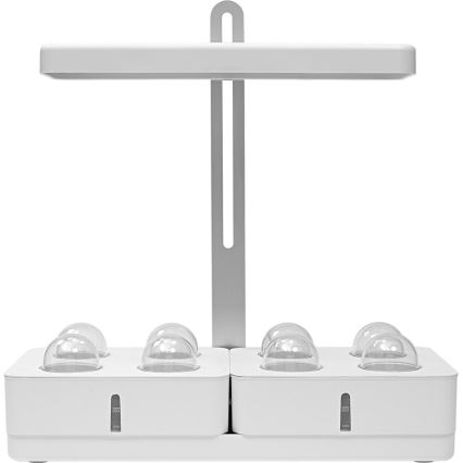 Ledvance - Candeeiro interior de planta LED GARDEN KIT LED/24W/230V