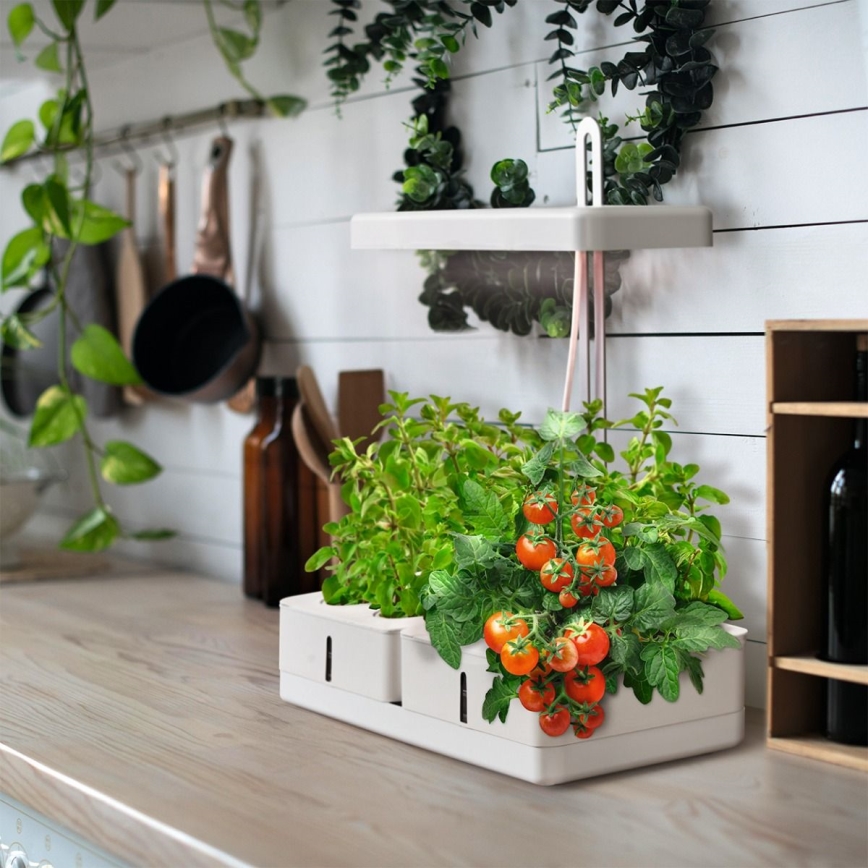 Ledvance - Candeeiro interior de planta LED GARDEN KIT LED/24W/230V