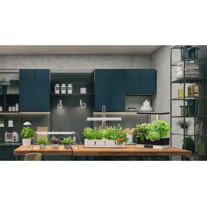 Ledvance - Candeeiro interior de planta LED GARDEN KIT LED/24W/230V