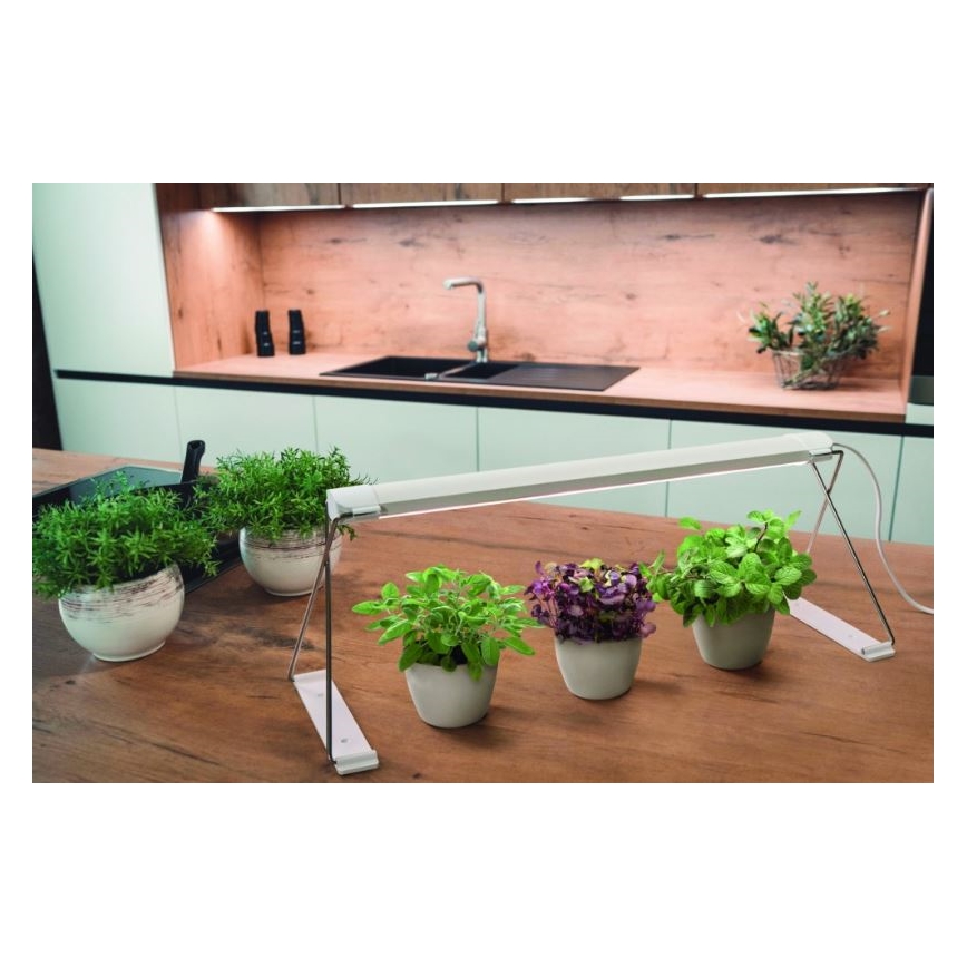 Ledvance - Candeeiro interior de planta LED GARDEN LIGHT LED/14W/230V