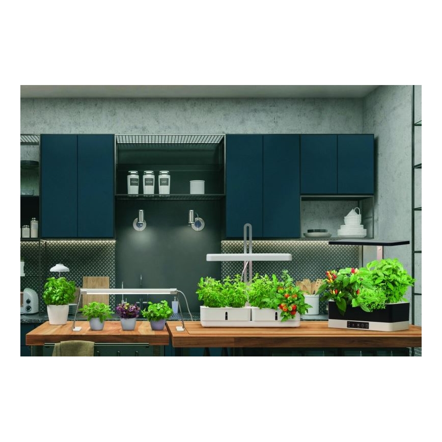 Ledvance - Candeeiro interior de planta LED GARDEN LIGHT LED/14W/230V