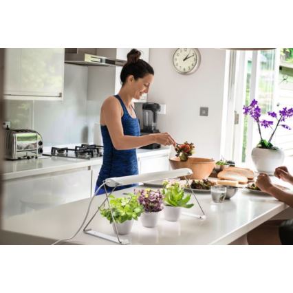 Ledvance - Candeeiro interior de planta LED GARDEN LIGHT LED/14W/230V