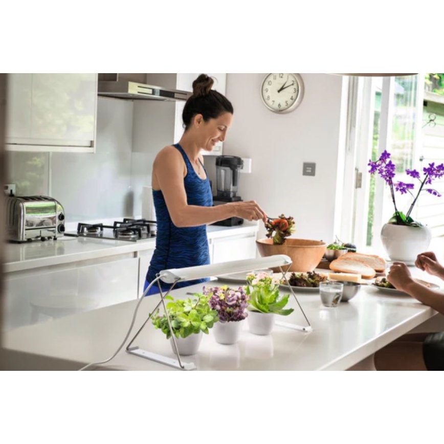 Ledvance - Candeeiro interior de planta LED GARDEN LIGHT LED/14W/230V