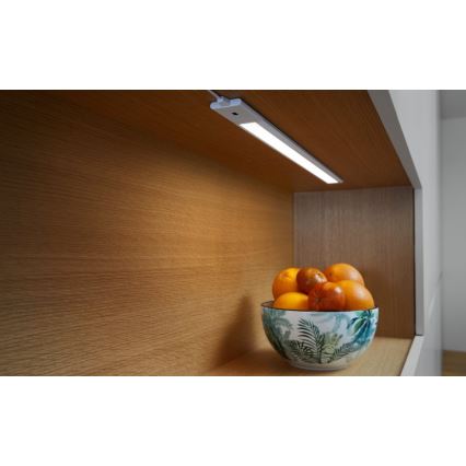Ledvance - Iluminação de armário LED com regulação e sensor CABINET LED/6W/230V