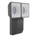 Ledvance - Iluminação de parede exterior LED com sensor SPOT 2xLED/8W/230V IP55