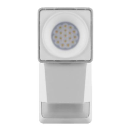 Ledvance - Iluminação de parede exterior LED com sensor SPOT LED/8W/230V IP55 branca