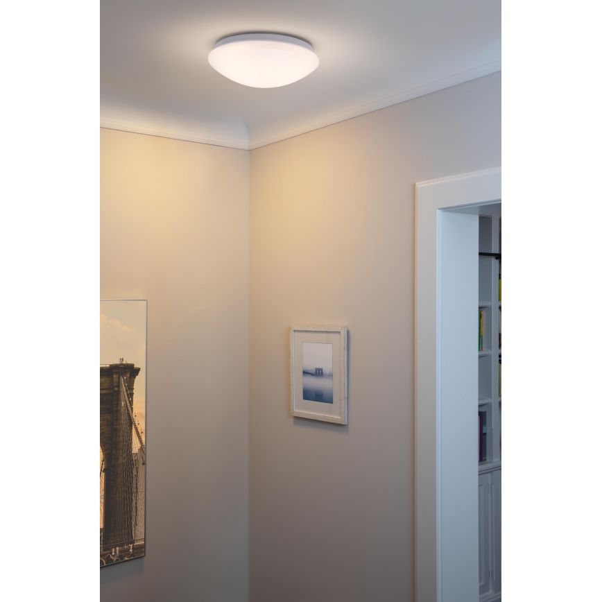 Ledvance - Iluminação de teto LED ESSENTIAL LED/13W/230V 6500K