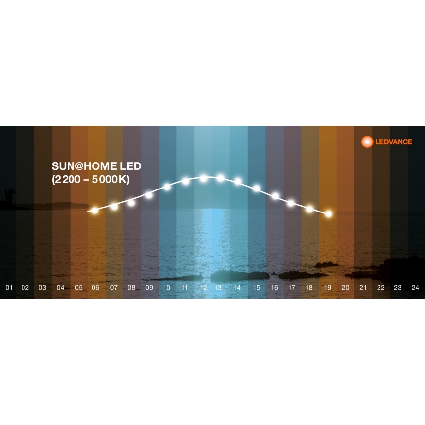 Ledvance - Iluminação de teto LED com regulação SUN@HOME LED/35W/230V 2200-5000K CRI 95 Wi-Fi