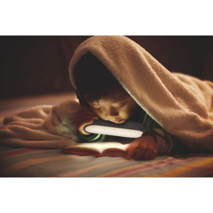 Ledvance - Iluminação LED para móveis com sensor MOBILE LED/1,2W/5V 500 mAh 4000K