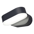 Ledvance - Luz de parede LED de exterior ENDURA LED/8W/230V IP44