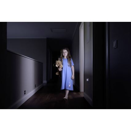 Ledvance - Luz noturna com sensor LED NIGHTLUX LED/0,25W/3xAAA