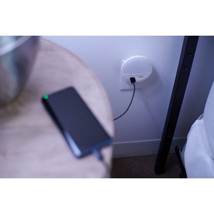 Ledvance - Luz noturna LED para tomada com sensor LUNETTA 2xUSB LED/13W/230V