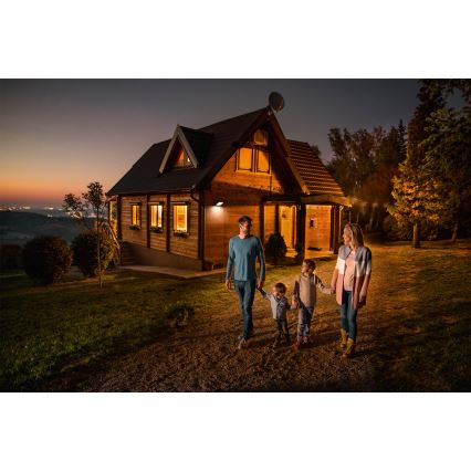 Ledvance - Refletor LED de parede para exterior com sensor de movimento e de crepúsculo FLOODLIGHT LED/30W/230V IP65