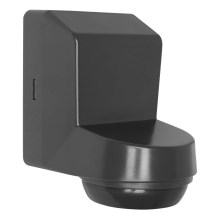 Ledvance - Sensor de movimento por infravermelhos para exterior 230V IP55 antracite