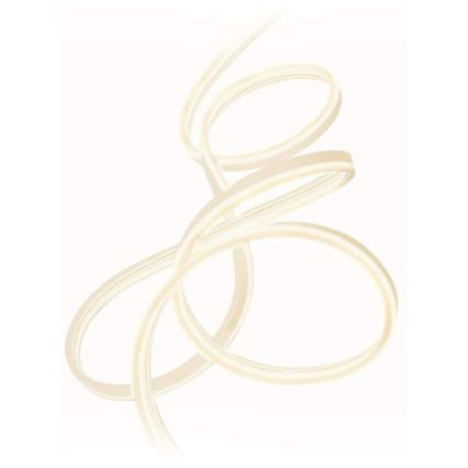 Ledvance - Tira exterior LED FLEX 5m LED/29W/230V IP44