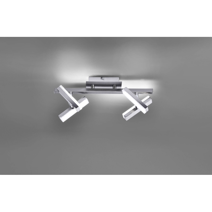 Leuchten Direkt 11277-55 - Foco LED RICO 4xLED/2W/230V