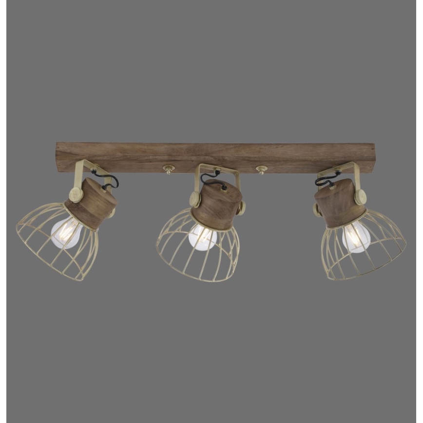 Leuchten Direkt 11488-60 - Foco ALAMI 3xE27/25W/230V mangueira