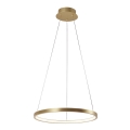 Leuchten Direkt 11522-12 - Candelabro num fio LED CIRCLE LED/19W/230V