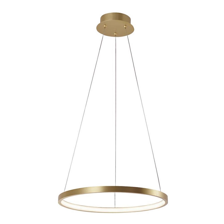 Leuchten Direkt 11522-12 - Candelabro num fio LED CIRCLE LED/19W/230V