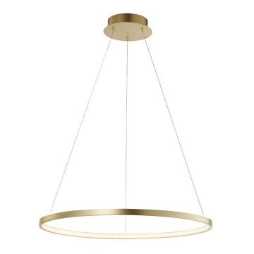 Leuchten Direkt 11524-12 - Candeeiro suspenso LED CIRCLE LED/28,5W/230V