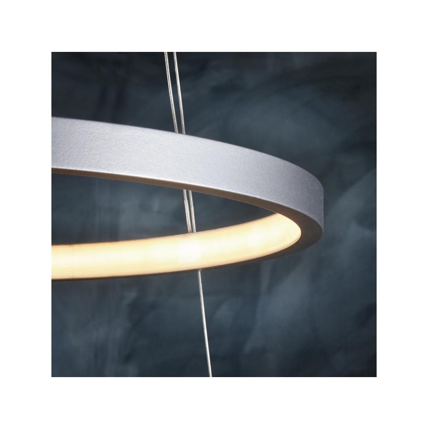 Leuchten Direkt 11525-21 - Lustre LED suspenso por cabo CIRCLE LED/15W/230V + LED/25W