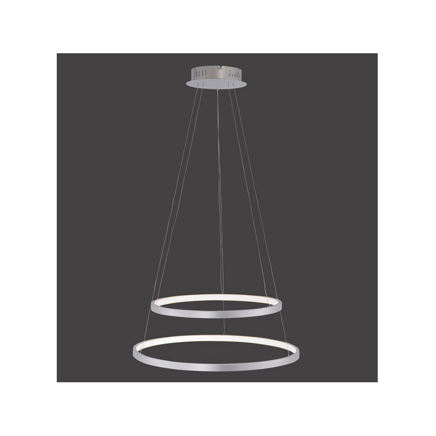 Leuchten Direkt 11525-21 - Lustre LED suspenso por cabo CIRCLE LED/15W/230V + LED/25W