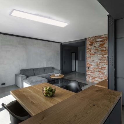 Leuchten Direkt 12204-16 - Iluminação de teto LED FLAT LED/24W/230V