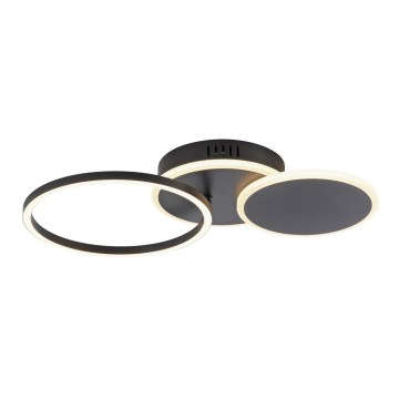 Leuchten Direkt 14116-18 - Iluminação de teto LED SEVENT LED/25,5W/230V preto