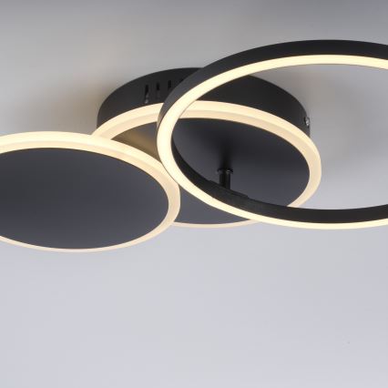 Leuchten Direkt 14116-18 - Iluminação de teto LED SEVENT LED/25,5W/230V preto