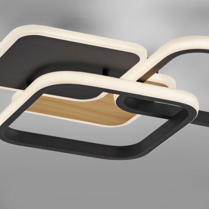 Leuchten Direkt 14117-78 - Iluminação de teto LED SEVENT LED/36W/230V preto/castanho