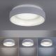 Leuchten Direkt 14329-15- Iluminação de teto LED com regulação DANTE LED/40W/230V+ controlo remoto
