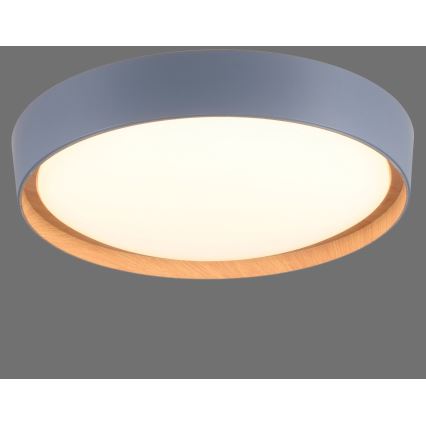 Leuchten Direkt 14347-15 - Luminária de teto LED dimmerizável EMILIA LED/28,8W/230V cinza
