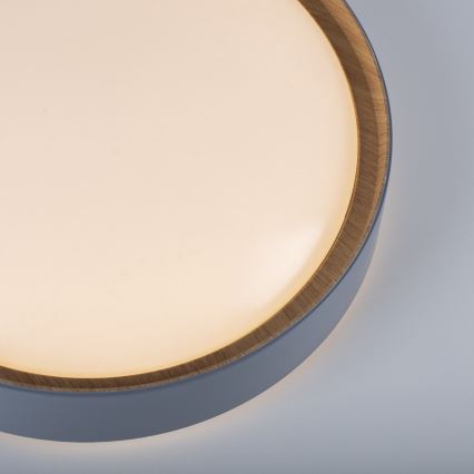 Leuchten Direkt 14347-15 - Luminária de teto LED dimmerizável EMILIA LED/28,8W/230V cinza