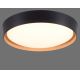 Leuchten Direkt 1434718- Iluminação de teto LED com regulação EMILIA 28,8W/230V preta