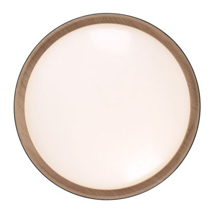 Leuchten Direkt 14347-18 - Luminária LED dimmerizável EMILIA LED/28,8W/230V preta