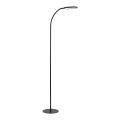 Leuchten Direkt 14406-18 - Candeeiro de chão LED táctil com regulação KELLY LED/7W/230V 3000/4000/6000K