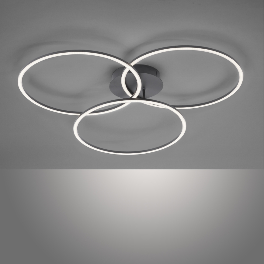 Leuchten Direkt 14539-18 - Iluminação de teto LED com regulação IVANKA 3xLED/12W/230V