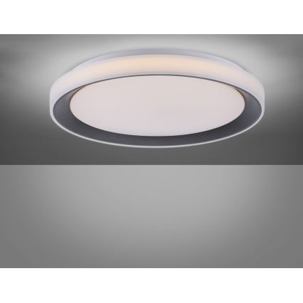 Leuchten Direkt 14659-18 - Luz de escurecimento LED RGB LOLA LED/24W/230V Tuya + controlo remoto