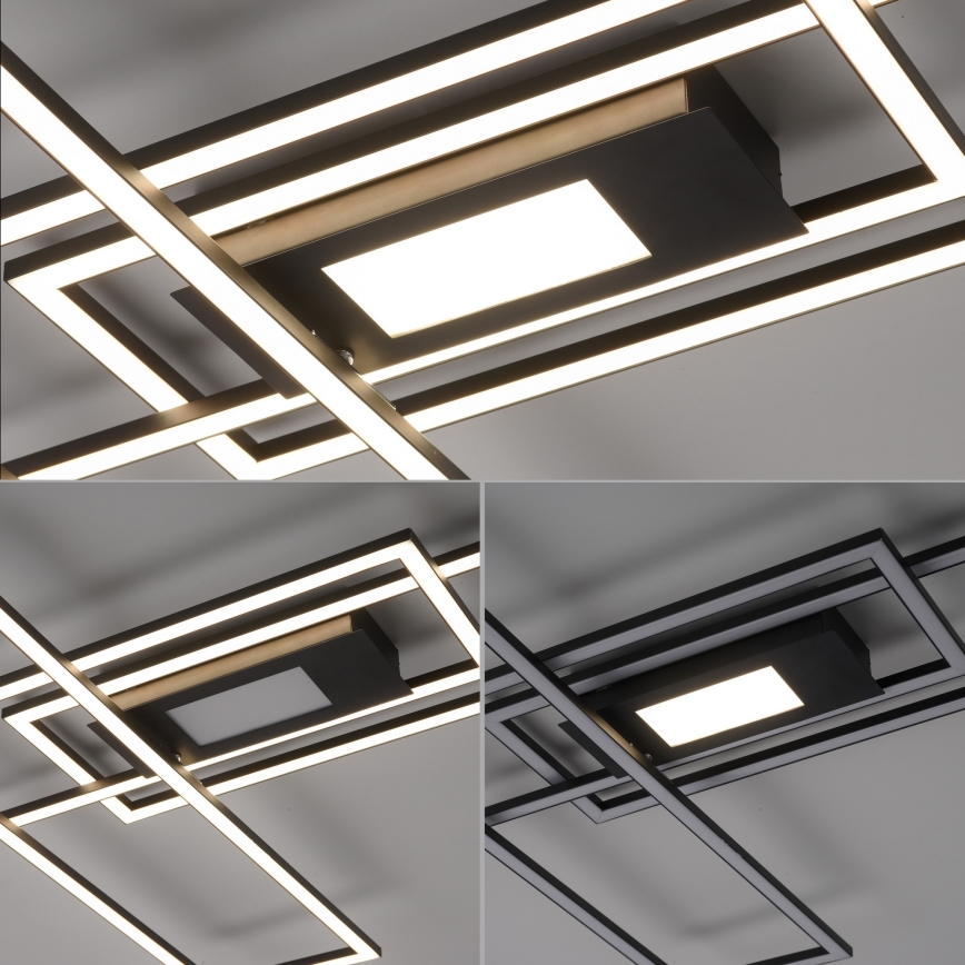 Leuchten Direkt 14693-18 - Iluminação de teto LED com regulação ASMIN LED/48W/230V + controlo remoto