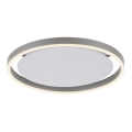 Leuchten Direkt 15391-95 - Iluminação de teto LED com regulação RITUS LED/20W/230V cromado mate